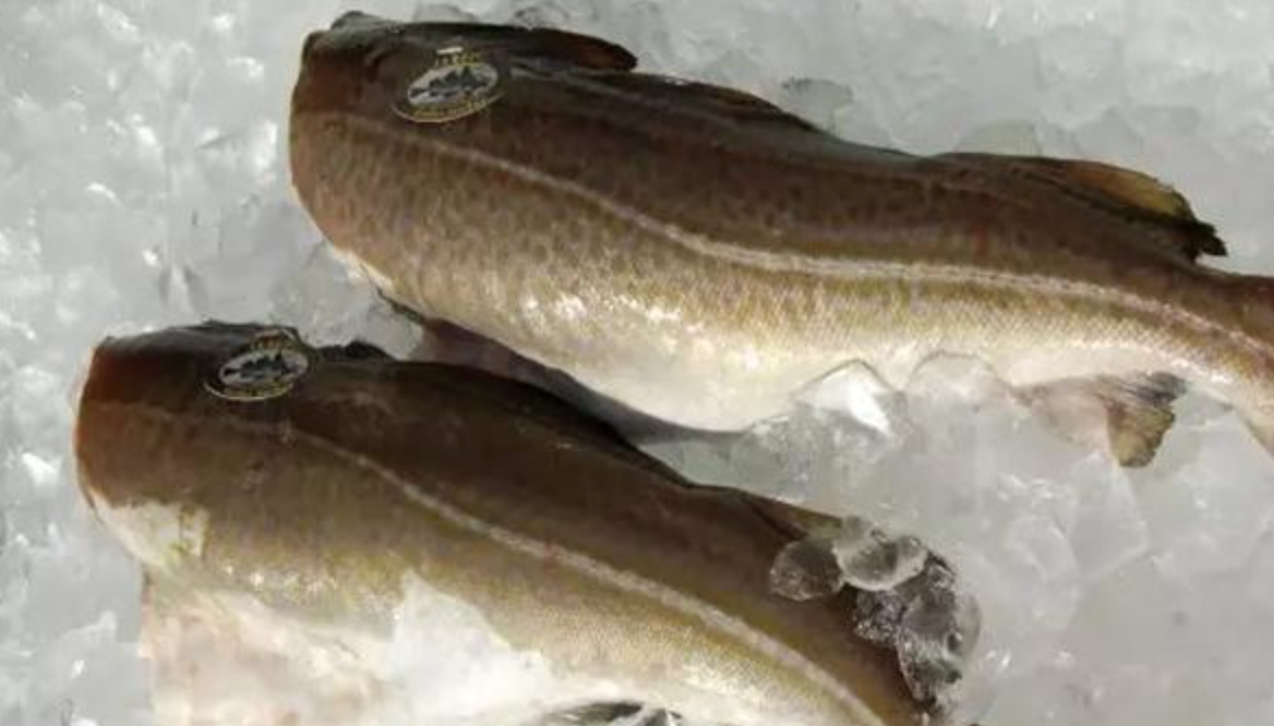 截屏2022-02-07 09.43.45.png