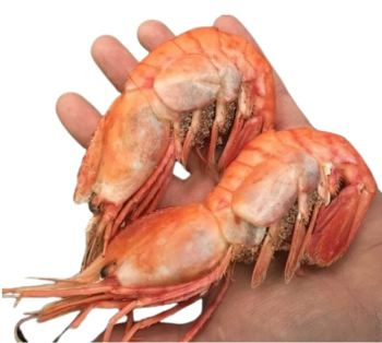 6153